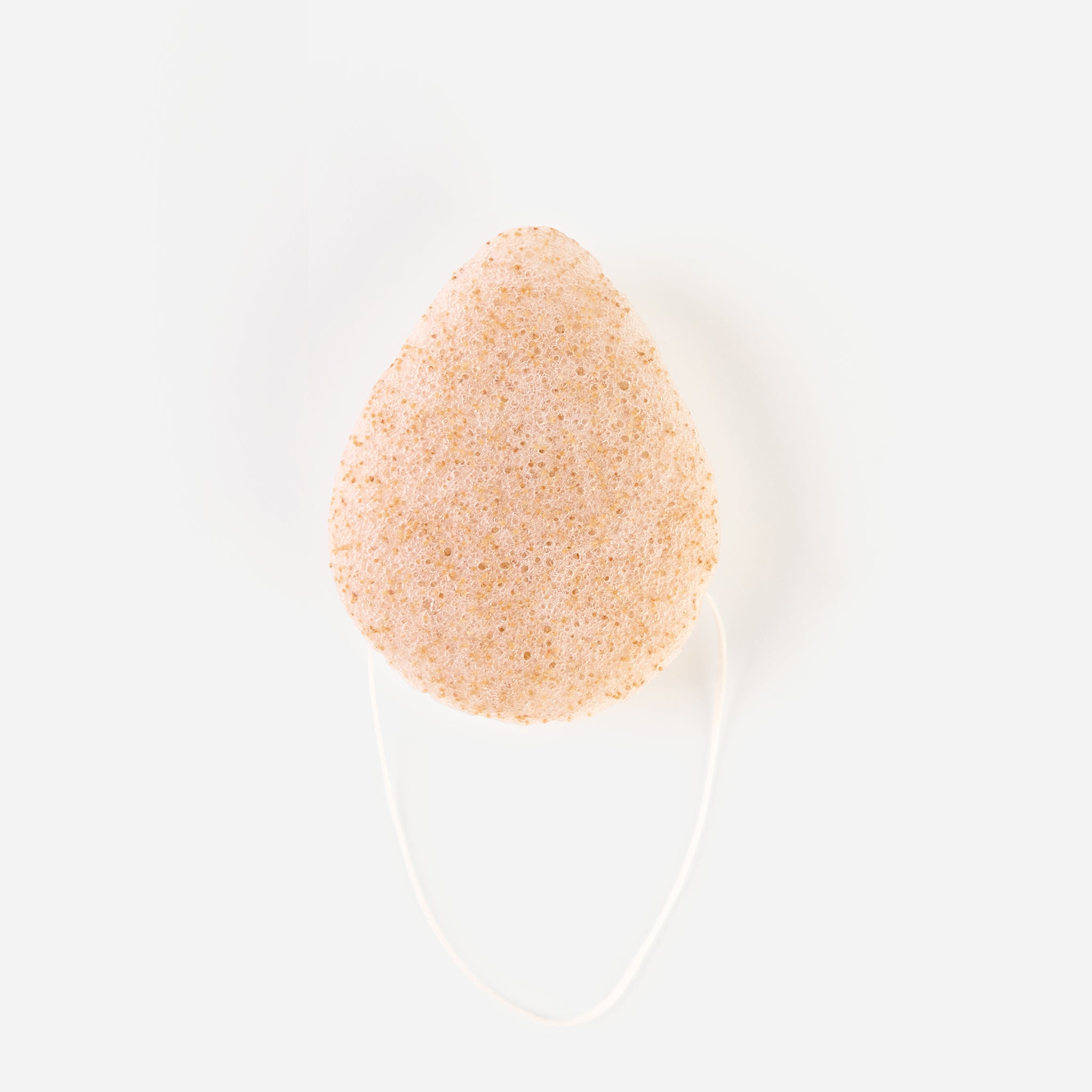 Walnut Konjac Sponge