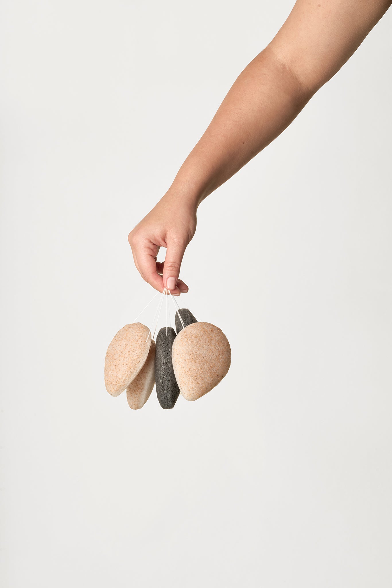 Walnut Konjac Sponge